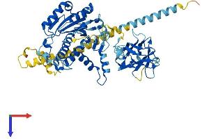 AlphaFold protein structure predicition of Mouse Recombinant Mgat4a Protein, UniprotID Q812G0