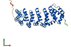 AlphaFold protein structure predicition of Mouse Recombinant Cab39l Protein, UniprotID Q9DB16