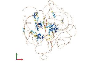 AlphaFold protein structure predicition of Mouse Recombinant Slx4 Protein, UniprotID Q6P1D7
