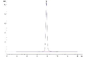 The purity of Human EPHA3 is greater than 95 % as determined by SEC-HPLC.