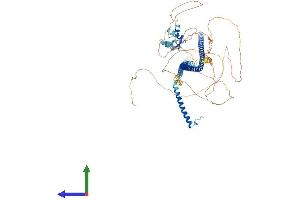 AlphaFold protein structure predicition of Human Recombinant RAB11FIP3 Protein, UniprotID O75154