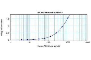Image no. 1 for anti-Resistin Like beta (RETNLB) antibody (ABIN465490) (RETNLB anticorps)