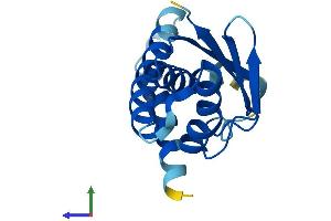 AlphaFold protein structure predicition of Mouse Recombinant Trappc6b Protein, UniprotID Q9D289