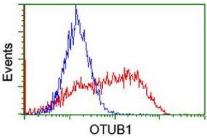 Image no. 2 for anti-OTU Domain, Ubiquitin Aldehyde Binding 1 (OTUB1) antibody (ABIN1499929) (OTUB1 anticorps)