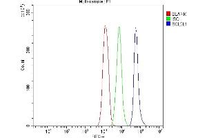 Flow Cytometry analysis of Jurkat cells using anti-Bcl-XL antibody (ABIN5518741). (BCL2L1 anticorps  (AA 1-219))