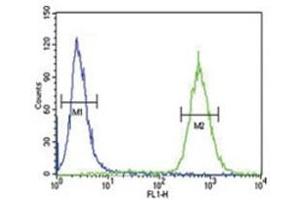 GDNF antibody flow cytometric analysis of 293 cells (right histogram) compared to a negative control (left histogram). (GDNF anticorps  (AA 8-36))