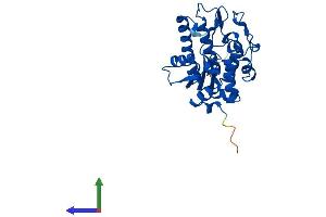AlphaFold protein structure predicition of Mouse Recombinant Smug1 Protein, UniprotID Q6P5C5