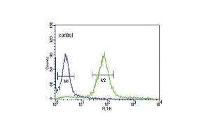 HPRT1 Antibody (C-term) (ABIN390692 and ABIN2840982) flow cytometric analysis of Hela cells (right histogram) compared to a negative control cell (left histogram).