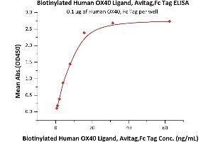 Immobilized Human OX40, Fc Tag (ABIN2181574,ABIN2181573) at 1 μg/mL (100 μL/well) can bind Biotinylated Human OX40 Ligand, Avitag,Fc Tag (ABIN6731293,ABIN6809948) with a linear range of 0.