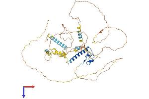 AlphaFold protein structure predicition of Mouse Recombinant Dmrt2 Protein, UniprotID Q8BG36
