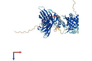 AlphaFold protein structure predicition of Mouse Recombinant Acot11 Protein, UniprotID Q8VHQ9