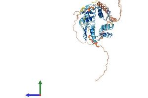 AlphaFold protein structure predicition of Human Recombinant ZNF100 Protein, UniprotID Q8IYN0