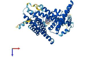 AlphaFold protein structure predicition of Mouse Recombinant Mboat4 Protein, UniprotID P0C7A3