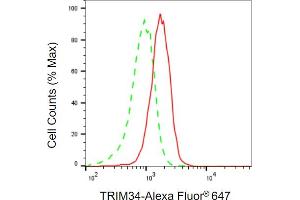 anti-Tripartite Motif Containing 34 (TRIM34) antibody
