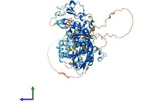 AlphaFold protein structure predicition of Mouse Recombinant Dgkb Protein, UniprotID Q6NS52
