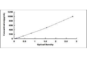 Typical standard curve