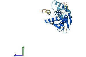 AlphaFold protein structure predicition of Human Recombinant ATG10 Protein, UniprotID Q9H0Y0