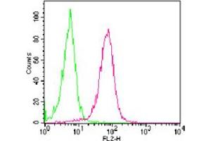 Image no. 1 for anti-Tumor Necrosis Factor Receptor Superfamily, Member 11a, NFKB Activator (TNFRSF11A) (AA 326-616) antibody (PE) (ABIN959946)