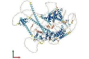 AlphaFold protein structure predicition of Human Recombinant BAZ1B Protein, UniprotID Q9UIG0
