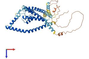 AlphaFold protein structure predicition of Human Recombinant KCNK13 Protein, UniprotID Q9HB14