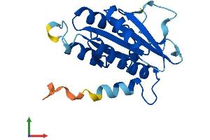 AlphaFold protein structure predicition of Human Recombinant CENPM Protein, UniprotID Q9NSP4