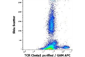 Flow cytometry surface staining pattern of human peripheral whole blood stained using anti-human TCR Cbeta1 (JOVI. (TCR, Cbeta1 anticorps)