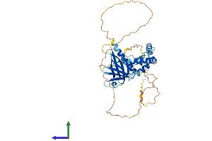 AlphaFold protein structure predicition of Mouse Recombinant Spred2 Protein, UniprotID Q924S7