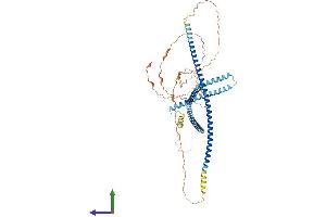 AlphaFold protein structure predicition of Human Recombinant TSKS Protein, UniprotID Q9UJT2