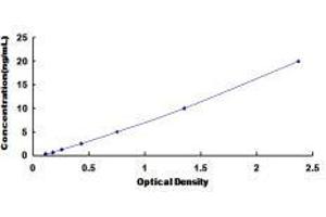 ELISA image for Aconitase 1 (ACO1) ELISA Kit (ABIN1118162)