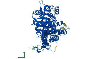 AlphaFold protein structure predicition of Mouse Recombinant Tubg2 Protein, UniprotID Q8VCK3