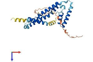 AlphaFold protein structure predicition of Mouse Recombinant Tmem65 Protein, UniprotID Q4VAE3