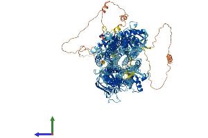 AlphaFold protein structure predicition of Human Recombinant ABCC5 Protein, UniprotID O15440