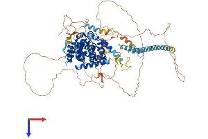 AlphaFold protein structure predicition of Human Recombinant TBC1D5 Protein, UniprotID Q92609