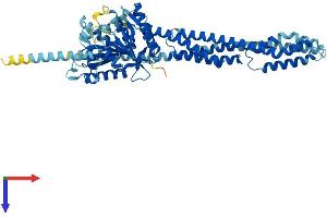 AlphaFold protein structure predicition of Human Recombinant GBP3 Protein, UniprotID Q9H0R5