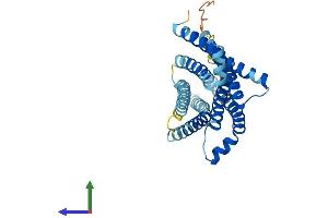 AlphaFold protein structure predicition of Mouse Recombinant Tas2r3 Protein, UniprotID Q7TQA7