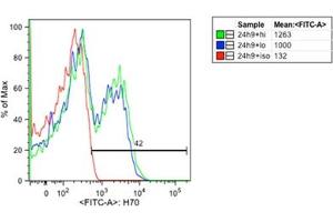 Flow Cytometry (FACS) image for anti-Heat Shock Protein 70 (HSP70) antibody (FITC) (ABIN263935)