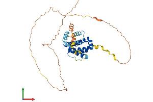 AlphaFold protein structure predicition of Mouse Recombinant Mcl1 Protein, UniprotID P97287
