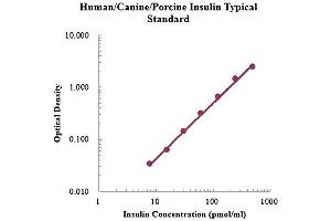 ELISA image for Insulin (INS) ELISA Kit (ABIN4993804)