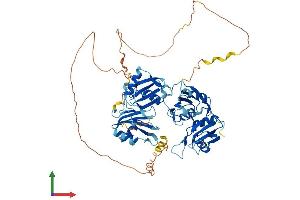 AlphaFold protein structure predicition of Mouse Recombinant Hnrnpl Protein, UniprotID Q8R081