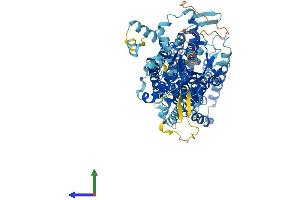 AlphaFold protein structure predicition of Mouse Recombinant Slc26a3 Protein, UniprotID Q9WVC8
