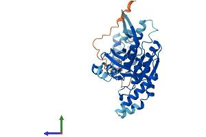 AlphaFold protein structure predicition of Mouse Recombinant Rad51c Protein, UniprotID Q924H5