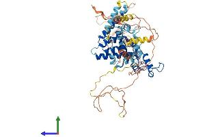AlphaFold protein structure predicition of Human Recombinant NR2C2 Protein, UniprotID P49116