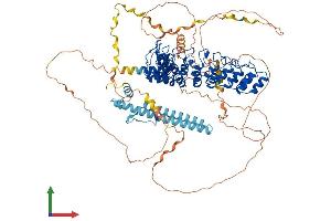 AlphaFold protein structure predicition of Mouse Recombinant Espn Protein, UniprotID Q9ET47