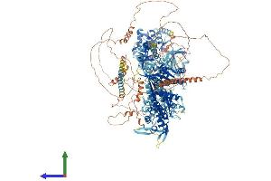 AlphaFold protein structure predicition of Human Recombinant MYO3A Protein, UniprotID Q8NEV4