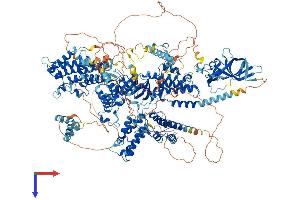 AlphaFold protein structure predicition of Mouse Recombinant Pbrm1 Protein, UniprotID Q8BSQ9