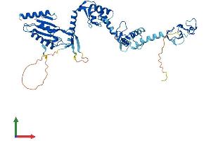 AlphaFold protein structure predicition of Mouse Recombinant Rnf14 Protein, UniprotID Q9JI90