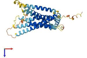 AlphaFold protein structure predicition of Mouse Recombinant Gpr146 Protein, UniprotID Q99LE2