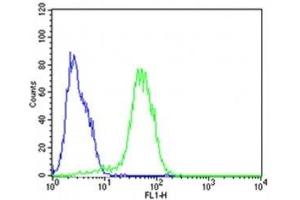 Flow cytometric analysis of HepG2 cells using Epcam antibody (green) compared to an isotype control of rabbit IgG (blue); Ab was diluted at 1:25 dilution.