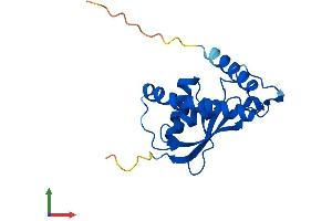 AlphaFold protein structure predicition of Mouse Recombinant Trappc3 Protein, UniprotID O55013