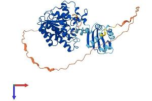 AlphaFold protein structure predicition of Mouse Recombinant Hsdl2 Protein, UniprotID Q2TPA8